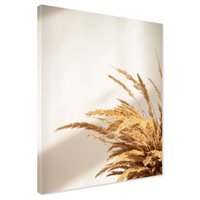 Obraz na płótnie - susz, trawa, beżowy