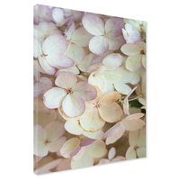 Obraz na płótnie - kwiaty, hortensja, płatki