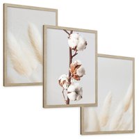 Zestaw obrazy w ramie, plakaty - bawełna, trawa, puszysty - rama drewno