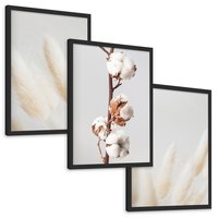 Zestaw obrazy w ramie, plakaty - bawełna, trawa, puszysty - rama czarna