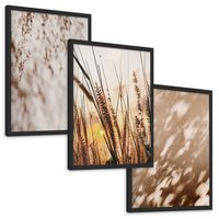 Zestaw obrazy w ramie, plakaty - cienie, trawa, abstrakcja - rama czarna