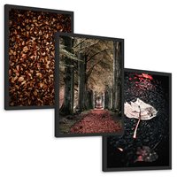 Zestaw obrazy w ramie, plakaty - liście, drzewa, jesień - rama czarna