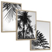 Zestaw obrazy w ramie, plakaty - palmy, liście, tropikalne - rama drewno