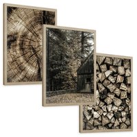 Zestaw obrazy w ramie, plakaty - drewno, kora, natura - rama drewno