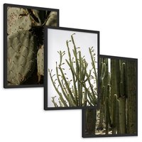 Zestaw obrazy w ramie, plakaty - kaktusy, rośliny, zielony - rama czarna