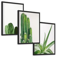 Zestaw obrazy w ramie, plakaty - kaktus, roślina, aloes - rama czarna