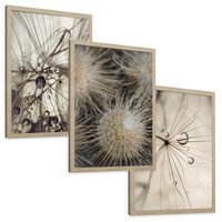 Zestaw obrazy w ramie, plakaty - makro, natura, roślina - rama drewno