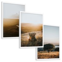 Zestaw obrazy w ramie, plakaty - krajobraz, natura, zachód słońca - rama biała