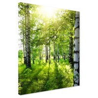 Obraz na płótnie - las, brzozy, natura