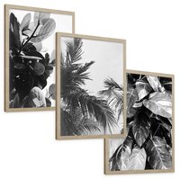 Zestaw obrazy w ramie, plakaty - liście, rośliny, natura - rama drewno