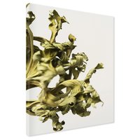 Obraz na płótnie - liście, suche, roślina