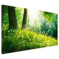 Obraz na płótnie - las, drzewa, natura