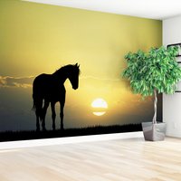 Fototapeta - koń, zachód słońca, ptaki