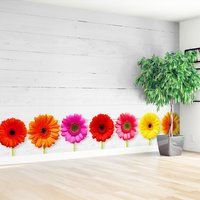 Fototapeta - kwiaty, gerbery, kolorowe