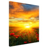 Obraz na płótnie - zachód słońca, kwiaty, pole