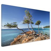 Obraz na płótnie - plaża, morze, drzewa