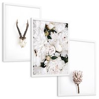 Zestaw obrazy w ramie, plakaty - kwiaty, minimalizm, roślina - rama biała
