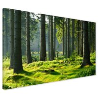 Obraz na płótnie - las, drzewa, natura