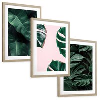 Zestaw obrazy w ramie, plakaty - liście, monstera, rośliny - rama drewno