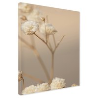 Obraz na płótnie - kwiaty, suszone, delikatne
