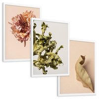 Zestaw obrazy w ramie, plakaty - liść, kwiat, suchy - rama biała