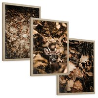 Zestaw obrazy w ramie, plakaty - liście,jeleń,las - rama drewno