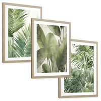 Zestaw obrazy w ramie, plakaty - liście, tropikalny, rośliny - rama drewno