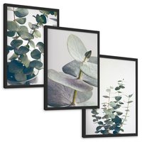 Zestaw obrazy w ramie, plakaty - eukaliptus, liście, gałązki - rama czarna