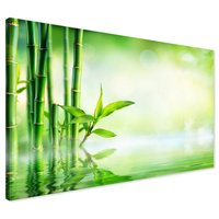 Obraz na płótnie - bambus, woda, liście