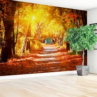 Fototapeta - jesień, liście, droga