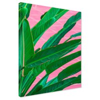 Obraz na płótnie - liście, roślina, różowy