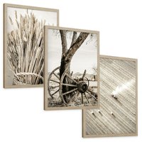 Zestaw obrazy w ramie, plakaty - wieś, rolnictwo, plony - rama drewno