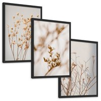 Zestaw obrazy w ramie, plakaty - kwiaty,rośliny,suszone, - rama czarna