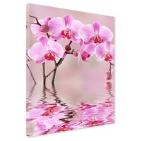 Obraz na płótnie - kwiaty, orchidee, woda
