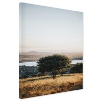 Obraz na płótnie - drzewo, krajobraz, natura