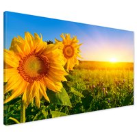 Obraz na płótnie - słoneczniki, kwiaty, lato
