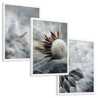 Zestaw obrazy w ramie, plakaty - dmuchawiec, nasiona, natura - rama biała