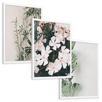 Zestaw obrazy w ramie, plakaty - rośliny, kwiaty, liście - rama biała