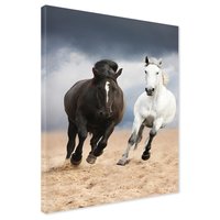 Obraz na płótnie - konie, galop, krajobraz