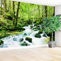 Fototapeta - las, potok, woda