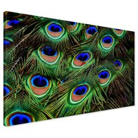 Obraz na płótnie - pawie pióra, pióra, abstrakcja
