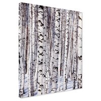 Obraz na płótnie - las, brzozy, zima