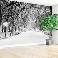 Fototapeta - zima, śnieg, park