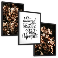 Zestaw obrazy w ramie, plakaty - kwiaty, jesień, dekoracja - rama czarna
