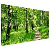 Obraz na płótnie - las, ścieżka, natura