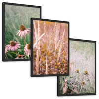 Zestaw obrazy w ramie, plakaty - kwiaty, trawa, rośliny - rama czarna