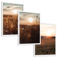 Zestaw obrazy w ramie, plakaty - pole, kwiaty, słońce - rama biała
