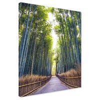 Obraz na płótnie - bambus, las, ścieżka
