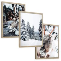 Zestaw obrazy w ramie, plakaty - renifer, zima, śnieg - rama drewno