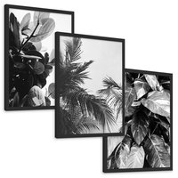 Zestaw obrazy w ramie, plakaty - liście, rośliny, natura - rama czarna